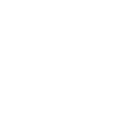 Bright Apple Inc